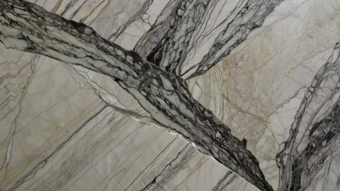 Abstract marble texture with dynamic veins Vidéo 310883017