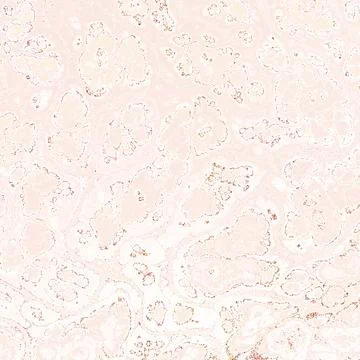 Abstract Marble texture. Fractal digital Art Background. High Resolution. P.. Stock Illustration