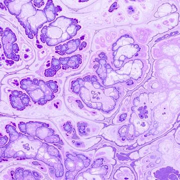 Abstract Marble texture. Lavender colormarble with gold veins. Can be used fo Stock Illustration