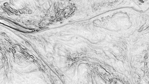 Abstract Marbleized Black and White Creative Colors Effect Background 2 Stock Footage 320266940