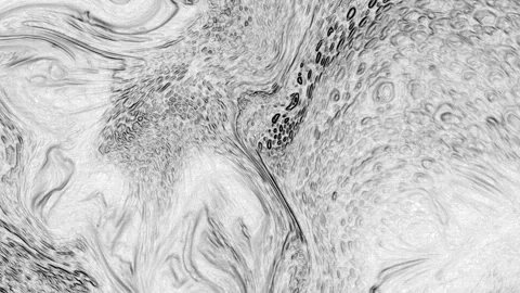 Abstract Marbleized Black and White Creative Colors Effect Background 13 Stock Footage 320846582
