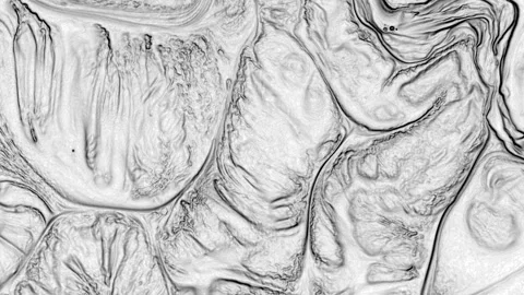 Abstract Marbleized Black and White Creative Colors Effect Background 18 Stock Footage 320970498
