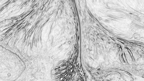 Abstract Marbleized Black and White Creative Colors Effect Background 47 Stock Footage 321567499