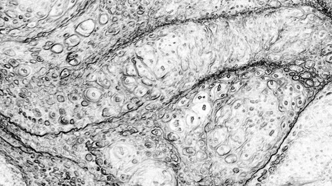Abstract Marbleized Black and White Creative Colors Effect Background 51 Stock Footage 322702282