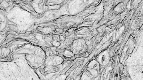 Abstract Marbleized Black and White Creative Colors Effect Background 58 Stock Footage 323033890