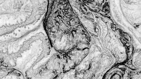 Abstract Marbleized Black and White Creative Colors Effect Background 78 Stock Footage 324767416