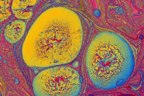 Abstract marbling pattern for fabric design Creative marbling background texture 스톡 사진