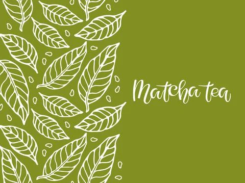 Abstract matcha green Tea background with White leaves sketch and handwritten Stock Illustration