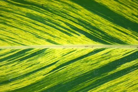 Abstract material Stock Photos