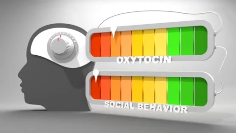 Abstract measuring device with human head icon. Influence of oxytocin on social Stock Footage 277860565