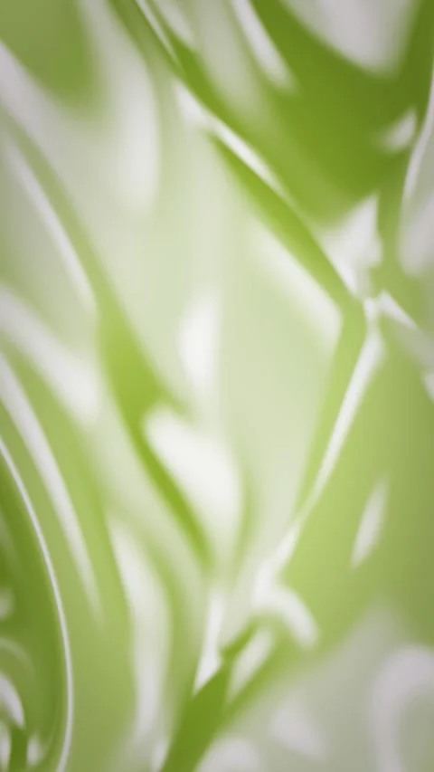 Abstract mesh gradient animated background with lime soft colors Stock Footage 331086270