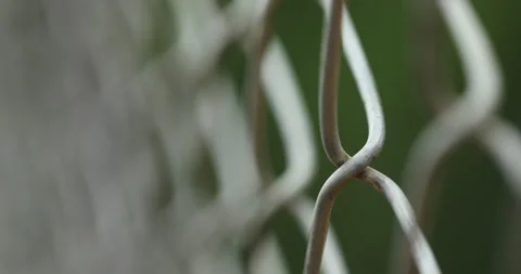 Abstract Metal Mesh macro shot Stock Footage 283484620