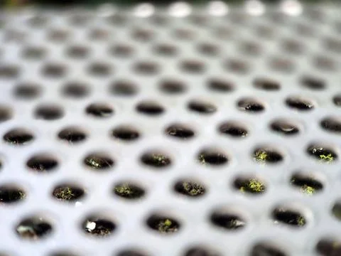 Abstract Metal Surface with Circular Perforations Stock Photos