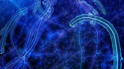 Abstract microbial strands ripple and pulse Stock Footage 85670304