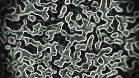 Abstract Microscopic Biological Cell Network Background i Stock-Footage 341875711