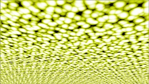 Abstract Microscopic Cell Animation with Glowing Yellow and Lime Green Organic Stock Footage 334481698