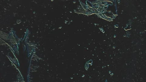 Abstract Microscopic Imagery Featuring Blue-Tinted Organic Shapes and Particl Video stock 341925955