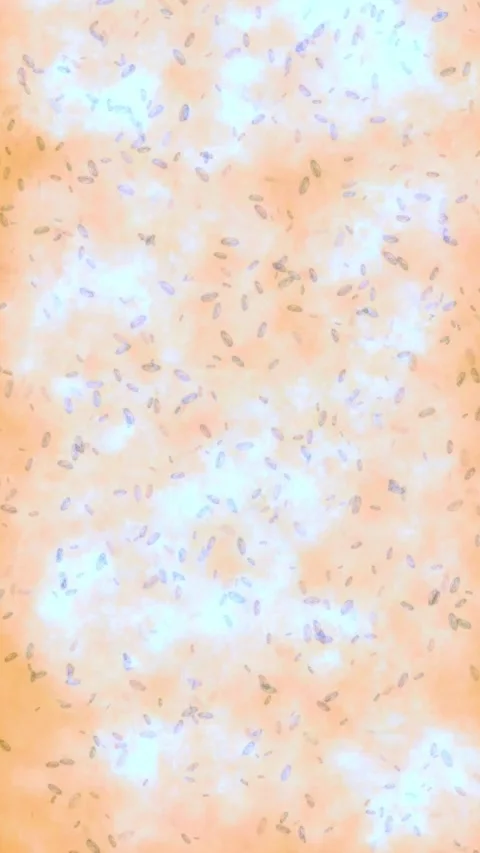 Abstract microscopic microorganisms moving over textured background. Video stock 344712632