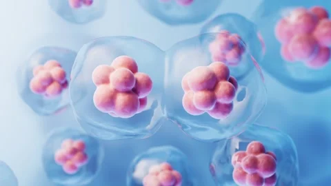 Abstract microscopic view of cells dividing in an organic environment on a .. 스톡 동영상 327112224