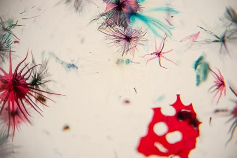 Abstract microscopic view of colorful microorganisms with red, blue, and bl.. Foto stock
