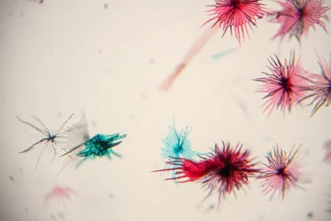 Abstract microscopic view of colorful microorganisms with intricate shapes .. Foto stock