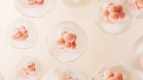 Abstract microscopic view of dividing cells or bacteria, scientific and med.. Stock-Footage 332318146