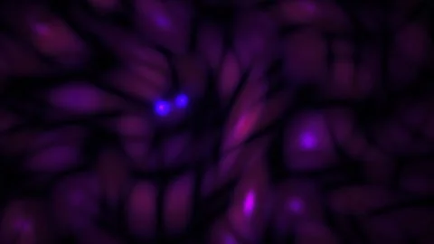 Abstract Microscopic View of Glowing Biological Cells Under Fluorescent Light Stock Footage 341796754
