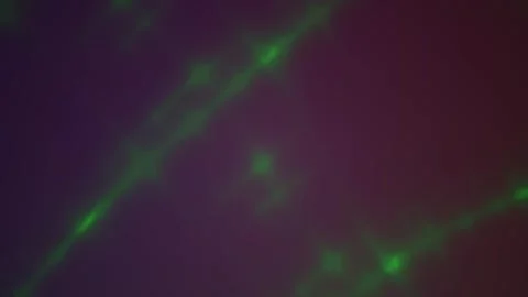 Abstract microscopic view of green glowing fluorescent neural network again.. Stock Footage 346346322