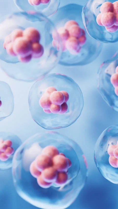 Abstract microscopic view of human stem cells floating in blue fluid showin.. Stock Footage 332150645
