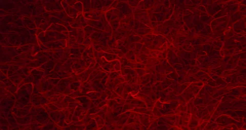 Abstract Microscopic Worm Parasites. Animation Stock Footage 278027863
