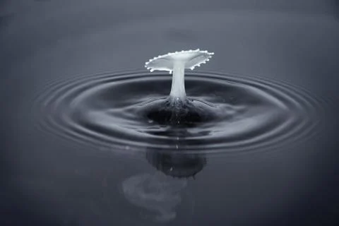 Abstract milk drops in water creating umbrella atop a column, black background Stock Photos