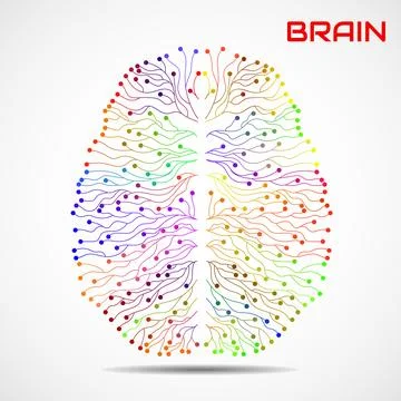 Abstract mind with two hemispheres, brain of colorful lines. Vector illustr.. Stock Illustration