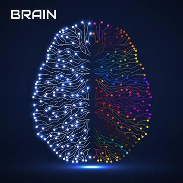 Abstract mind with two hemispheres, brain of colorful lines. Vector illustrat Stock Illustration