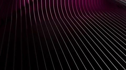 Abstract Minimal Dark Pink Backdrop With Curved Lines Stock Footage 171604032