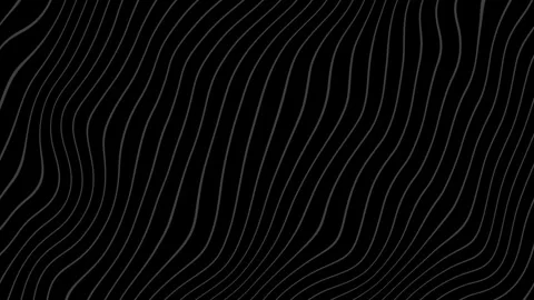 Abstract minimal wavy topographic lines flowing Stock Footage 337205782