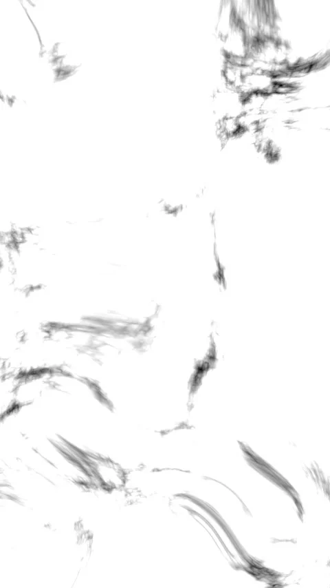 Abstract Minimalist Background with Dynamic Black Ink Strokes and Fluid Calligra Vídeo Stock 334211463