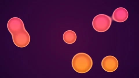 Abstract minimalist background featuring a single small pink circle floatin.. Stock Footage 347465606