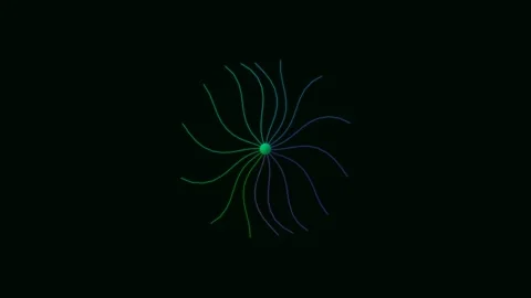 Abstract Minimalist Central Node with Radiating Colorful Lines on Black Stock Footage 340341323