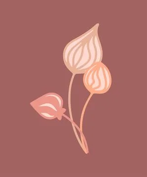 Abstract minimalistic tropical leaf in boho style and lines. Template, poster Illustrazione stock