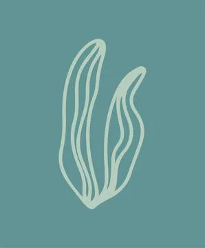 Abstract minimalistic tropical leaf in boho style and lines. Template, poster Illustrazione stock
