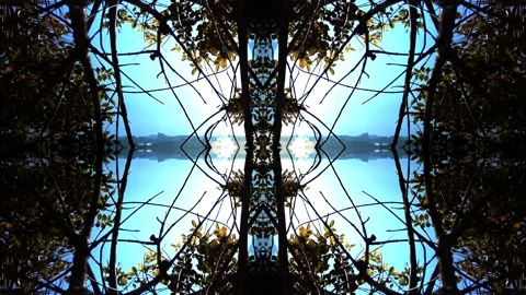 Abstract mirrorded Visual, Sky - Trees - Clouds - Leaves Stock Footage 150008111