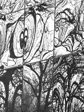 Abstract mirrored tree reflections on tiled glass Fotos de archivo