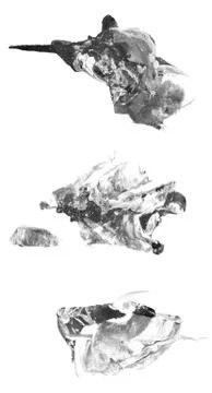 Abstract mixed media background or texture design on white Stock Illustration