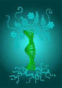 Abstract model of the dna Stock Illustration