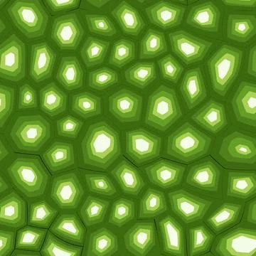 Abstract modern turtle shell seamless pattern. Animals trendy background. Green Stock Illustration