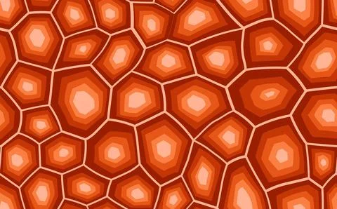 Abstract modern turtle shell seamless pattern. Animals trendy background. Brown Illustrazione stock