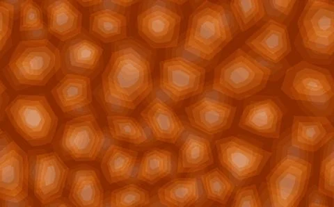 Abstract modern turtle shell seamless pattern. Animals trendy background. Brown Stock Illustration