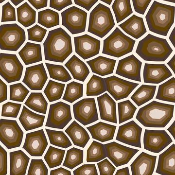Abstract modern turtle shell seamless pattern. Animals trendy background. Brown Stock Illustration