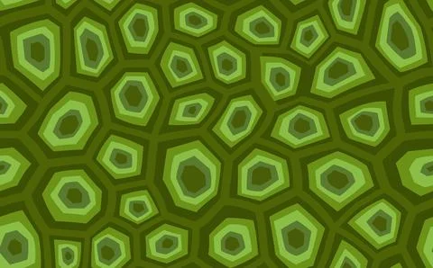 Abstract modern turtle shell seamless pattern. Animals trendy background. Grren Stock Illustration