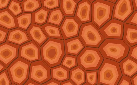 Abstract modern turtle shell seamless pattern. Animals trendy background. Beige Stock Illustration